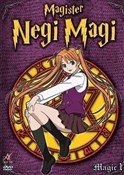 Magister N... -  books in polish 
