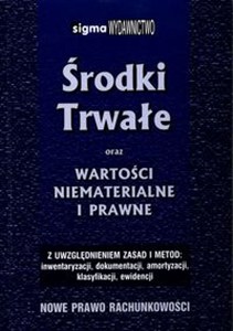 Picture of Środki trwałe oraz wartości niematerialne i prawne