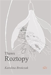 Picture of Thaws Roztopy