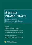 System pra... - Marta Otto, Piotr Prusinowski, Iwona Sierocka, Mariusz Lekston, Aleksander Gadkowski, Katarzyna Sera -  Książka z wysyłką do UK