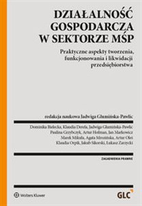 Obrazek Działalność gospodarcza w sektorze MŚP Praktyczne aspekty tworzenia, funkcjonowania i likwidacji przedsiębiorstwa. 261 pytań i odpowiedzi