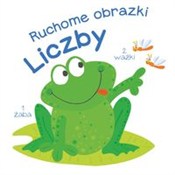 Ruchome ob... - Różni -  books in polish 