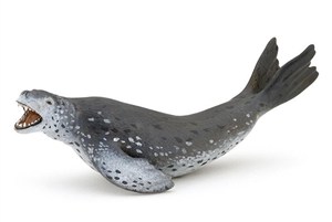 Obrazek Lampart morski