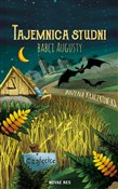 Tajemnica ... - Bożena Kraczkowska -  books from Poland