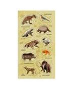 Naklejki Z... -  books from Poland