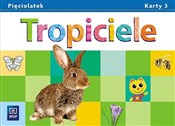 Polska książka : Tropiciele... - Beata Gawrońska, Emilia Raczek