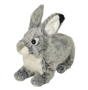 polish book : Króli szar...