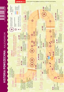 Picture of Historia. MAXI ściąga