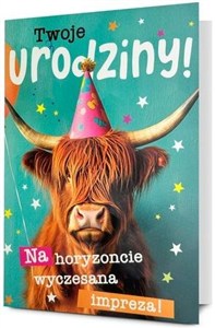 Obrazek Karnet B6 Urodziny