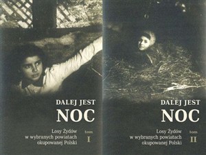 Obrazek Dalej jest noc. Losy Żydów w wybranych powiatach okupowanej Polski