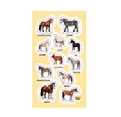 Książka : Naklejki R...