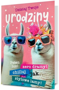 Obrazek Karnet B6 Urodziny