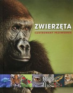 Picture of Zwierzęta Ilustrowany przewodnik