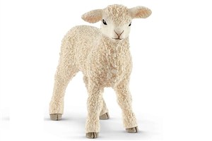 Obrazek Mała owieczka SLH13883
