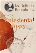 Uniesienia... - Ruotolo Dolindo ks. -  books from Poland