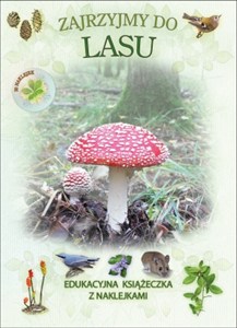 Obrazek Zajrzyjmy do lasu. Książeczka edukacyjna z naklejkami