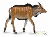 Zobacz : Antylopa E...