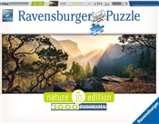 Puzzle 2D ... -  foreign books in polish 