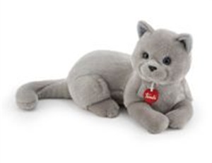 Obrazek Kotka Celestino klasyczna