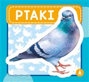 Ptaki - Wydawnictwo Skrzat -  foreign books in polish 