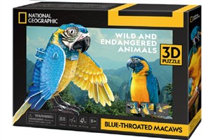 Obrazek Cubic Fun Puzzle 3D National Geographic Zagrożone zwierzęta - Ara Szafirowa