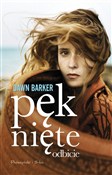 Pęknięte o... - Dawn Barker -  Książka z wysyłką do UK