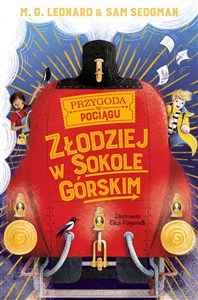 Obrazek Złodziej w Sokole Górskim