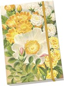 Notatnik o... -  foreign books in polish 