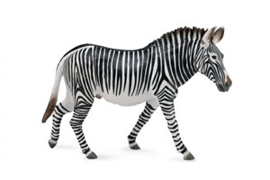 Obrazek Zebra Grevys XL