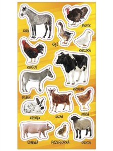 Picture of Naklejki Zwierzęta domowe