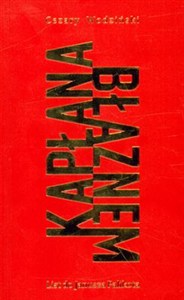 Obrazek Kapłana błaznem List do Janusza Palikota