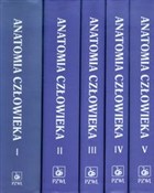 Anatomia c... - Adam Bochenek, Michał Reicher -  Polish Bookstore 
