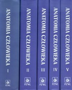 Obrazek Anatomia człowieka Tom 1-5