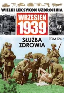 Obrazek Służba zdrowia