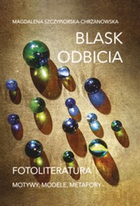 Obrazek Blask odbicia. Fotoliteratura Motywy, modele, metafory