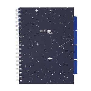 Obrazek Kołozeszyt Pads B5/100K kratka Kosmos