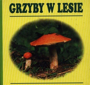 Obrazek Grzyby w lesie harmonijka