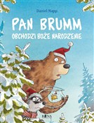 polish book : Pan Brumm ... - Daniel Napp