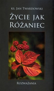 Obrazek Życie jak różaniec Rozważania