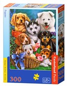 Zobacz : Puzzle Cas...