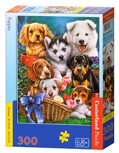 Picture of Puzzle Castorland Puppies 300