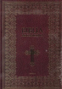 Obrazek Biblia domowa (bez obwoluty) M
