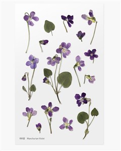 Obrazek Naklejki ozdobne kwiaty Fiołek artystyczne scrapbooking rękodzieło