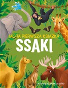 Moja pierw... - Eliza Jeffery -  books from Poland