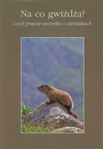 Obrazek Na co gwiżdżą? Czyli prawie wszystko o świstakach