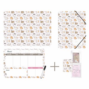 Obrazek Zestaw szkolny z nadrukiem kittens