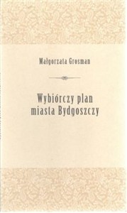 Obrazek WYBIÓRCZY PLAN MIASTA BYDGOSZCZY