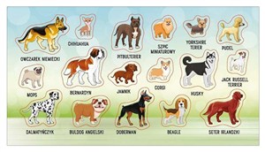 Picture of Naklejki Rasy psów