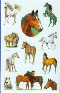 Obrazek Naklejki na błyszczącym papierze Z Design Konie