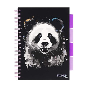 Picture of Kołozeszyt Strigo Pads Project Book B5 kratka - Panda